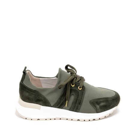 Alternative view of Roberto-Serpentini-5766 verde